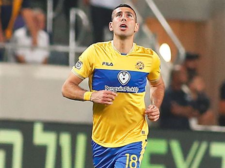 ההערכה שימשיך. טיבי (אלן שיבר)