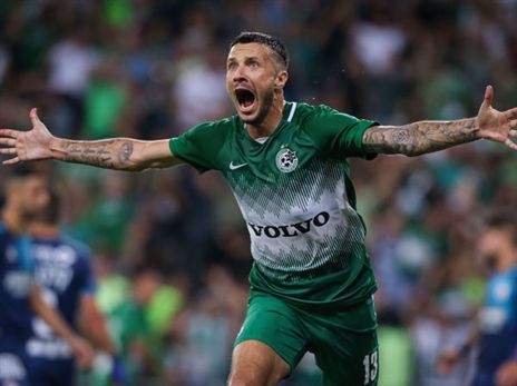 רוקאביצה, ילבש צהוב? (אלן שיבר)