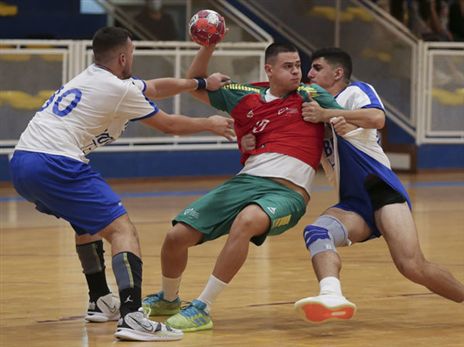 (צילום באדיבות ההתאחדות לכדוריד בפורטוגל)