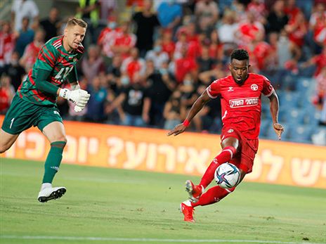 אנסה. נראה בינגו (אלן שיבר)