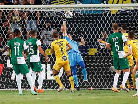 טעה בשער הראשון, כהן (אלן שיבר)