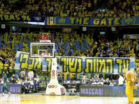 האוהדים הצהובים ביציעים (אלן שיבר)