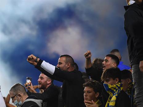 (ברני ארדוב)