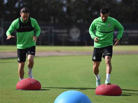 (צילום: האתר הרשמי של מכבי חיפה)