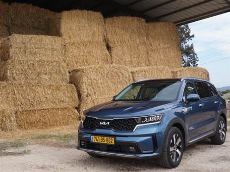 (צילומים: ניר בן-טובים)