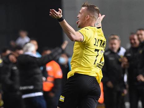 כבש וחגג (ברני ארדוב)