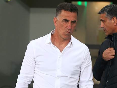 "עשה טעות אדירה" (אלן שיבר)