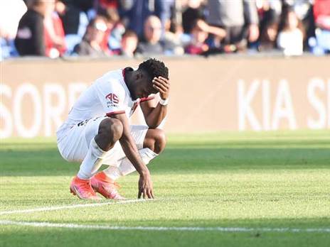 (ברני ארדוב)