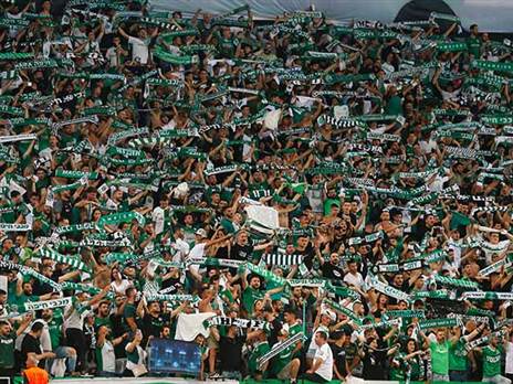 המתינו לו בציפייה (אלן שיבר)