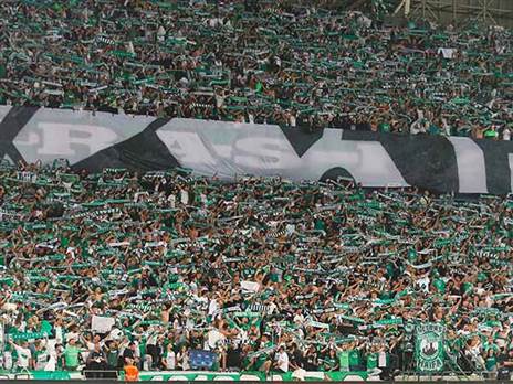 הקהל הירוק. מקור הכנסה חשוב למועדון (אלן שיבר)