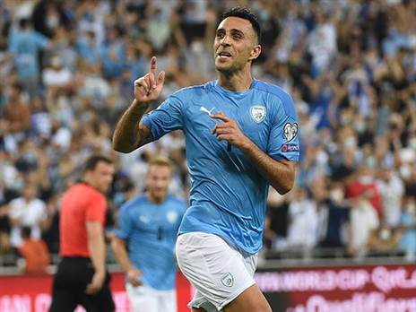 זהבי. יסתדרו בלעדיו (אלן שיבר)