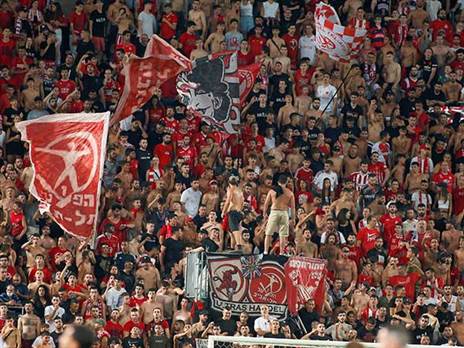 הפתרון הנקודתי יפגע? (אלן שיבר)