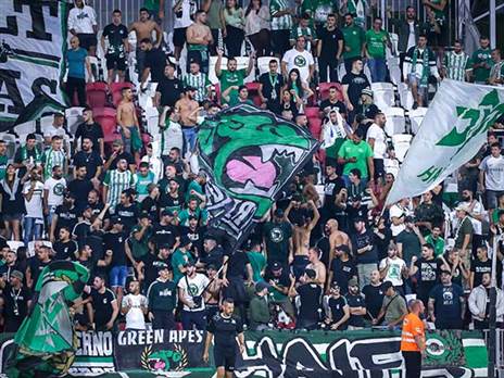 כ-3,000 יגיעו. אוהדי מכבי חיפה (מאור אלקסלסי)