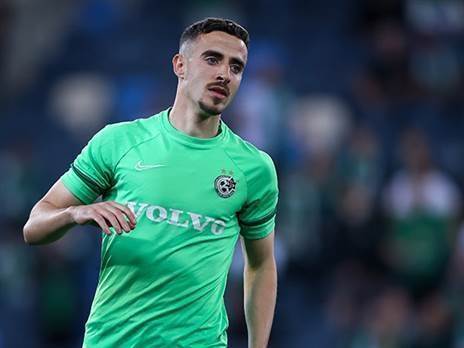 יישאר בישראל, בינתיים (אלן שיבר)