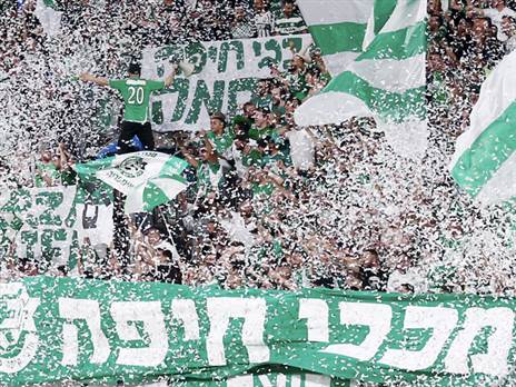 מה שהחל כקונצרט ירוק (אלן שיבר)