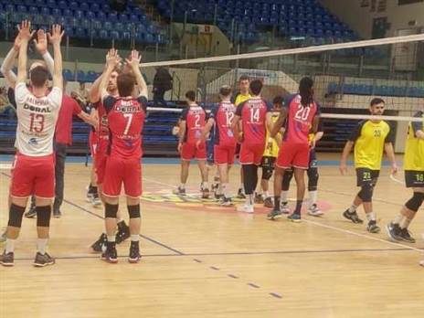 (איגוד הכדורעף)