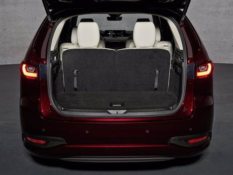 לא נשאר הרבה מתא המטען, רק 258 ליטר