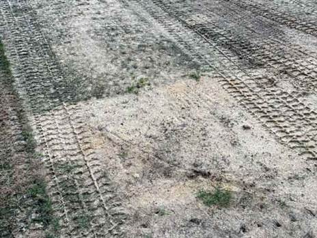 הדשא עבר קרקוף