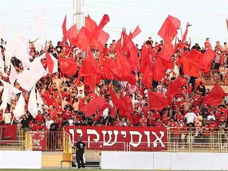 (צילום: אודי ציטיאט)