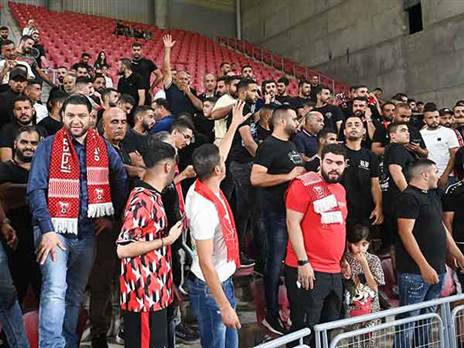 (ברני ארדוב)