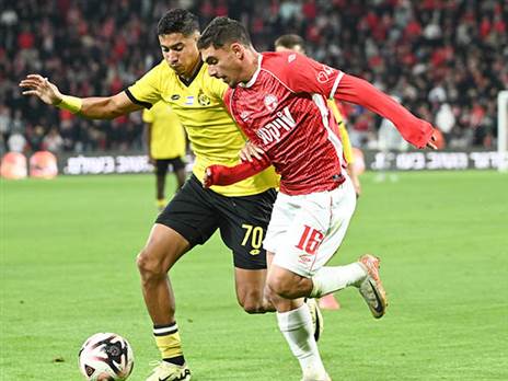 (ברני ארדוב)