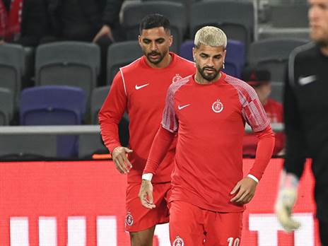 (ברני ארדוב)