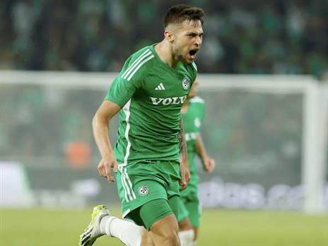 ההתחלה דווקא היתה מבטיחה (אלן שיבר)