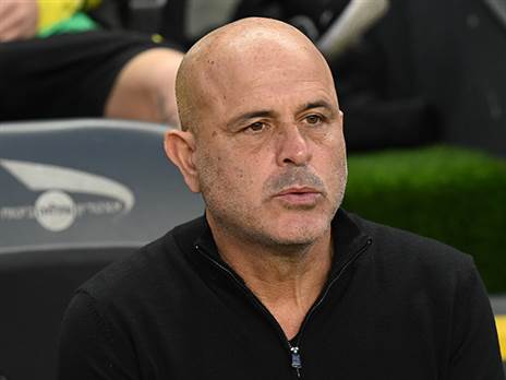 (ברני ארדוב)