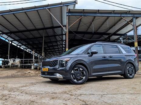 צילום: רן סגל