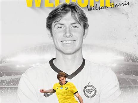 (צילום: מכבי נתניה)