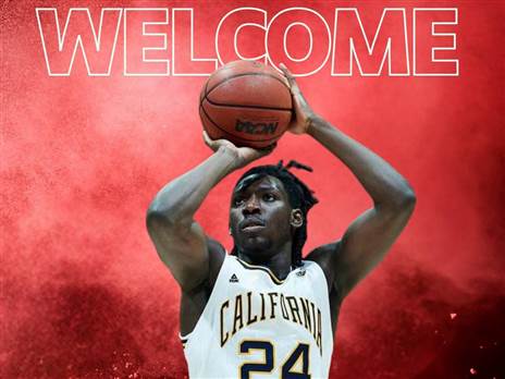 (אתר רשמי הפועל גליל עליון)