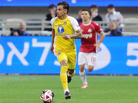 מייצג את ברזיל בכבוד (אלן שיבר)