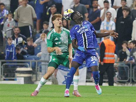 פיינגזיכט. נקודת אור (אלן שיבר)