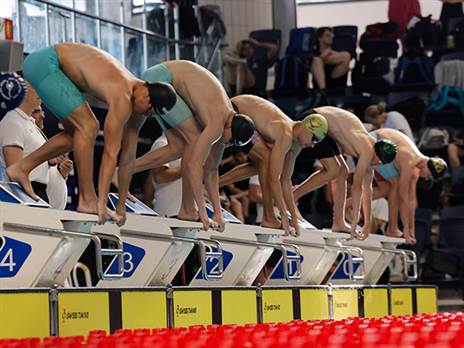 (גלעד קוולרצ'יק)