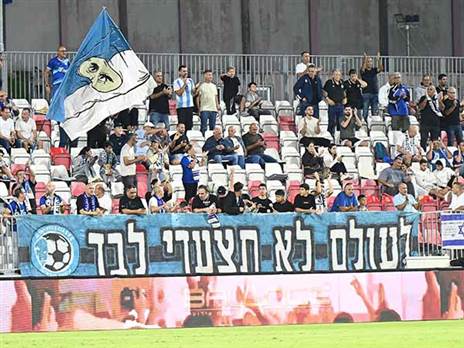 (ברני ארדוב)