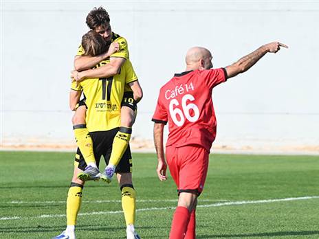 (ברני ארדוב)