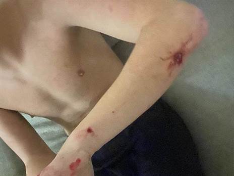 (באדיבות המשפחה)