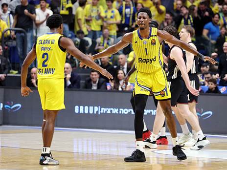 (צילום: אלן שיבר)