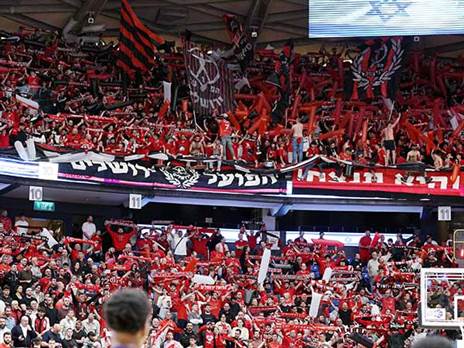 (צילום: אלן שיבר)