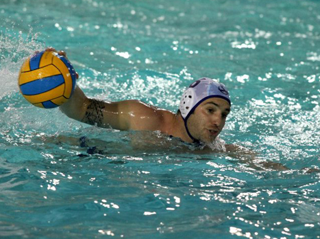 (צילום: אבי ולדמן)