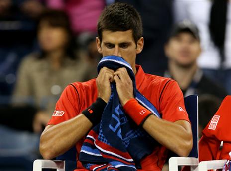 דיוקוביץ'. יחפש תואר נוסף במקום אחר (gettyimages)