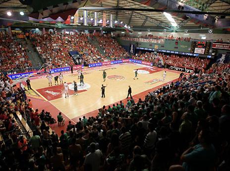 הפעם האחרונה? מלחה (צילום: אלן שיבר)