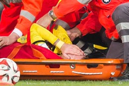 נשבר הלב. רויס על הדשא