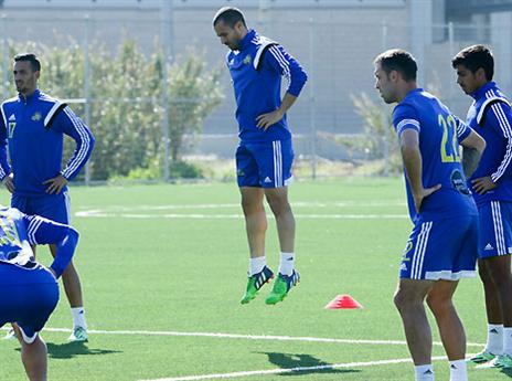 הרכש הכי טרי של הצהובים (אלן שיבר)