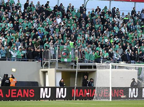 סוף סוף נהנו מהצגה (צילום: אלן שיבר)