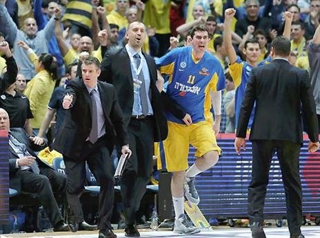 טירוף צהוב (אלן שיבר)