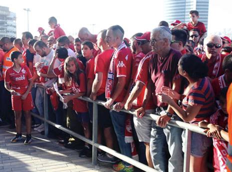 (צילום: אלן שיבר)