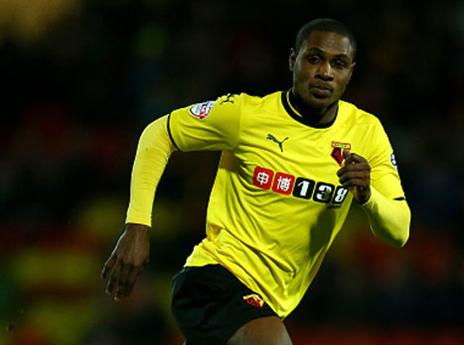 איגלו במדי ווטפורד (gettyimages)