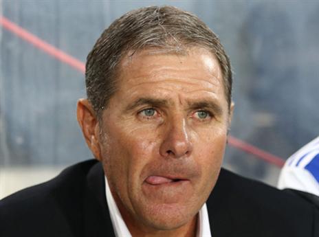 גוטמן. חייב ניצחון בבלגיה (אלן שיבר)