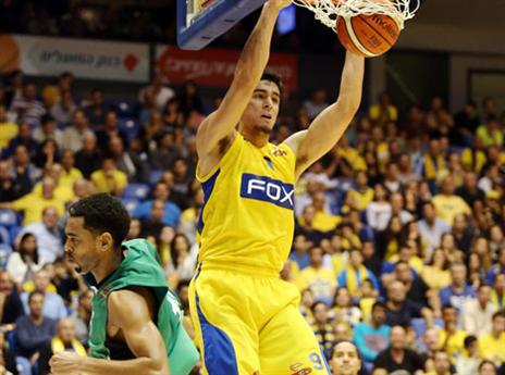 גם שגב עשה חיים בצבע (אלן שיבר)